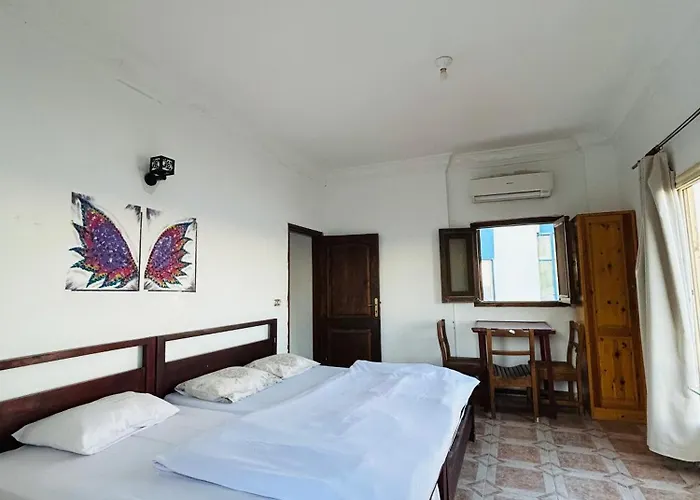 Soliman House *